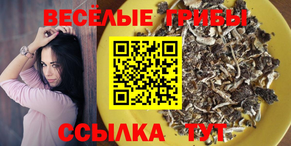 Галлюциногенные грибы MAGIC MUSHROOMS  Вход с VPN  Ульяновск 