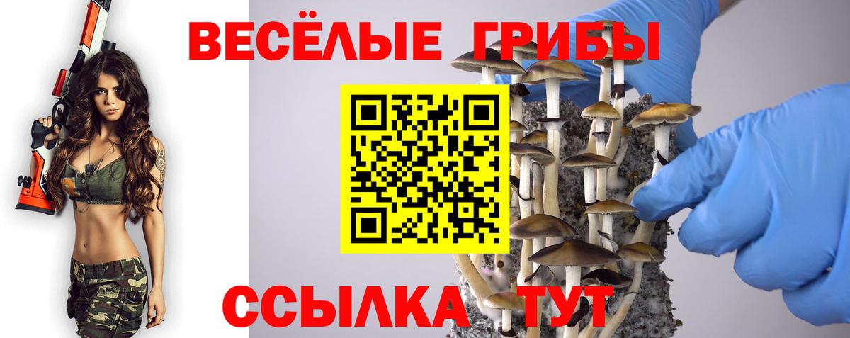 Галлюциногенные грибы Magic Shrooms Ульяновск